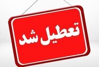 مدارس ابتدایی تهران ۲ روز مجازی شد