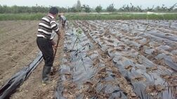 تسهیلات پرداختی به کشاورزان خسارت دیده امهال می‌شود

