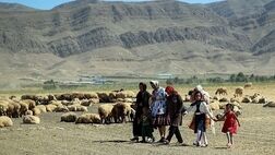 افرادی که تحت پوشش بیمه نیستند، نمی‌توانند تکانه‌های اقتصادی را تحمل کنند