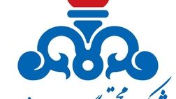 مجتمع گاز پارس جنوبی برای دارایی های خودپوشش بیمه ای کافی نخرید
