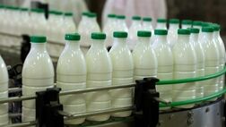 قیمت تضمینی شیر خام درب دامداری کیلویی ۱۲ هزار تومان تعیین شد

