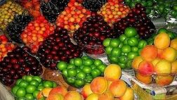 تمامی اقلام میوه و صیفی به وفور در حال توزیع است