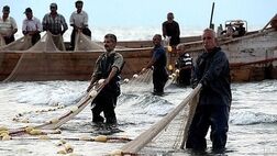 24 هزار صیاد در چابهار و کنارک بیمه تکمیلی می شوند
