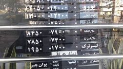 بازار ارز تا دو هفته آینده به پایداری می رسد